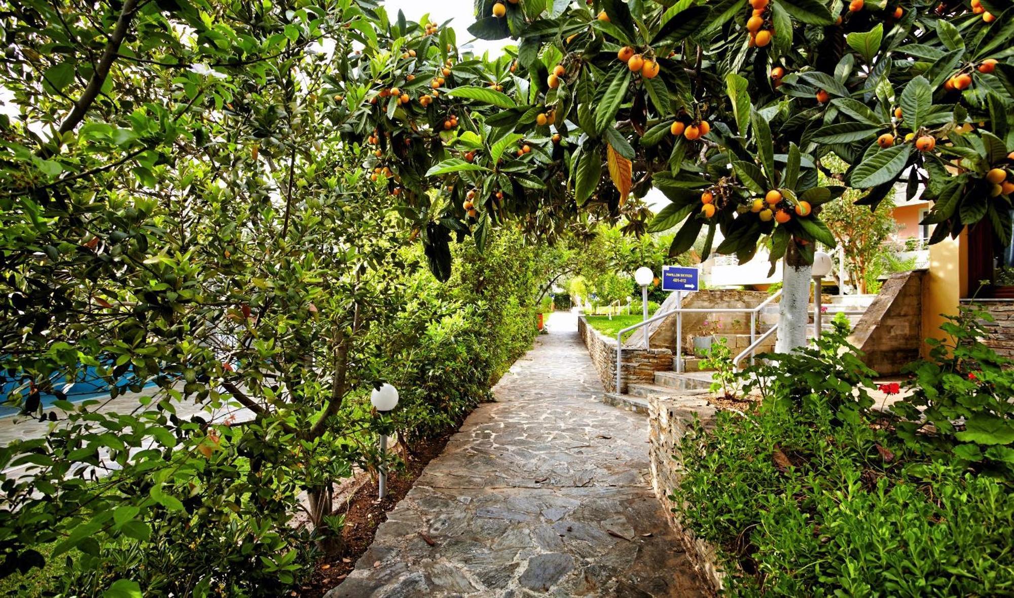 Miramare 4* Erétria